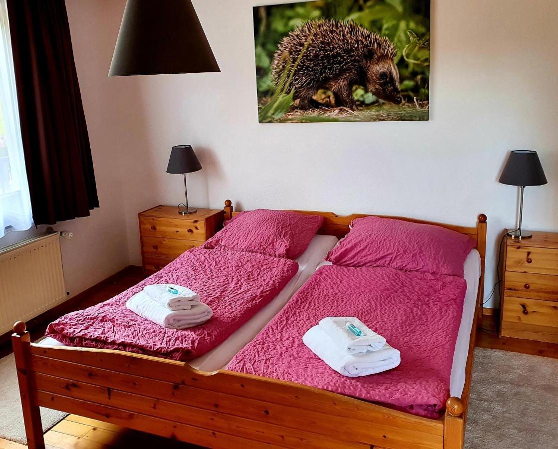 Отель Gruener Baum Neckargerach Экстерьер фото