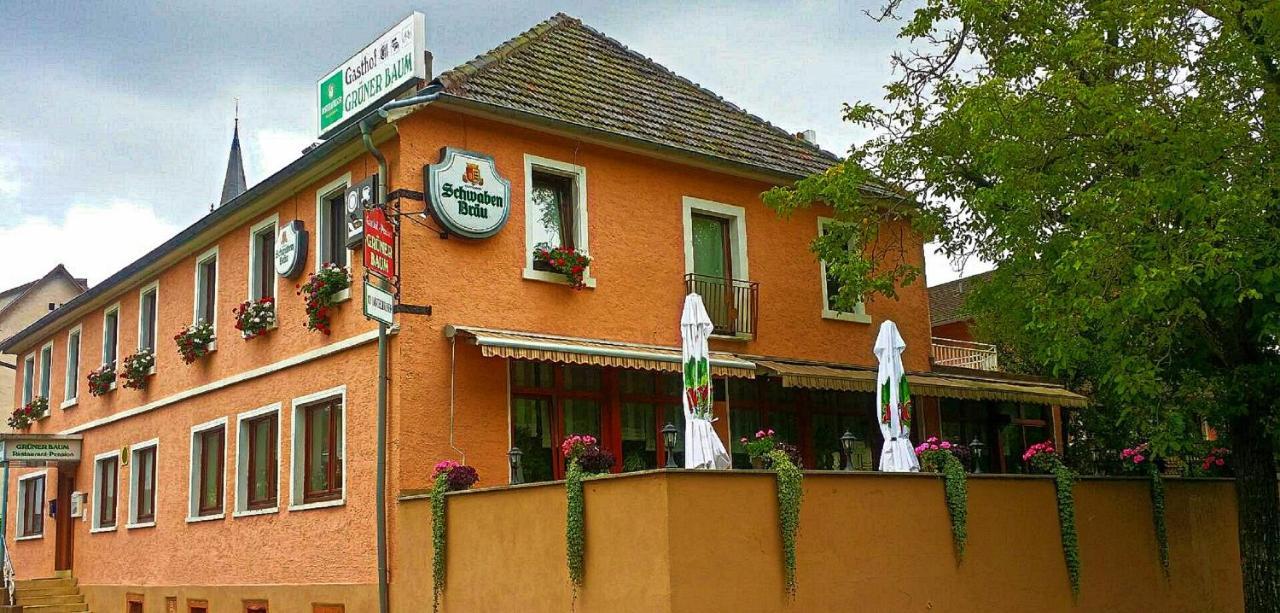 Отель Gruener Baum Neckargerach Экстерьер фото